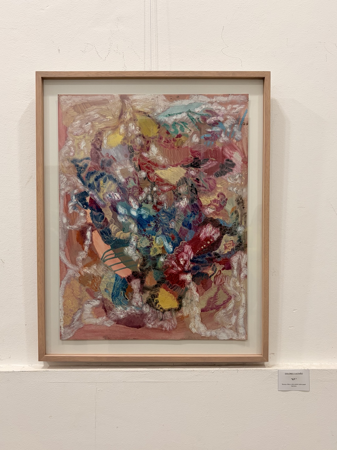 Obra de Dolores Castaño exhibida en Mercedes
